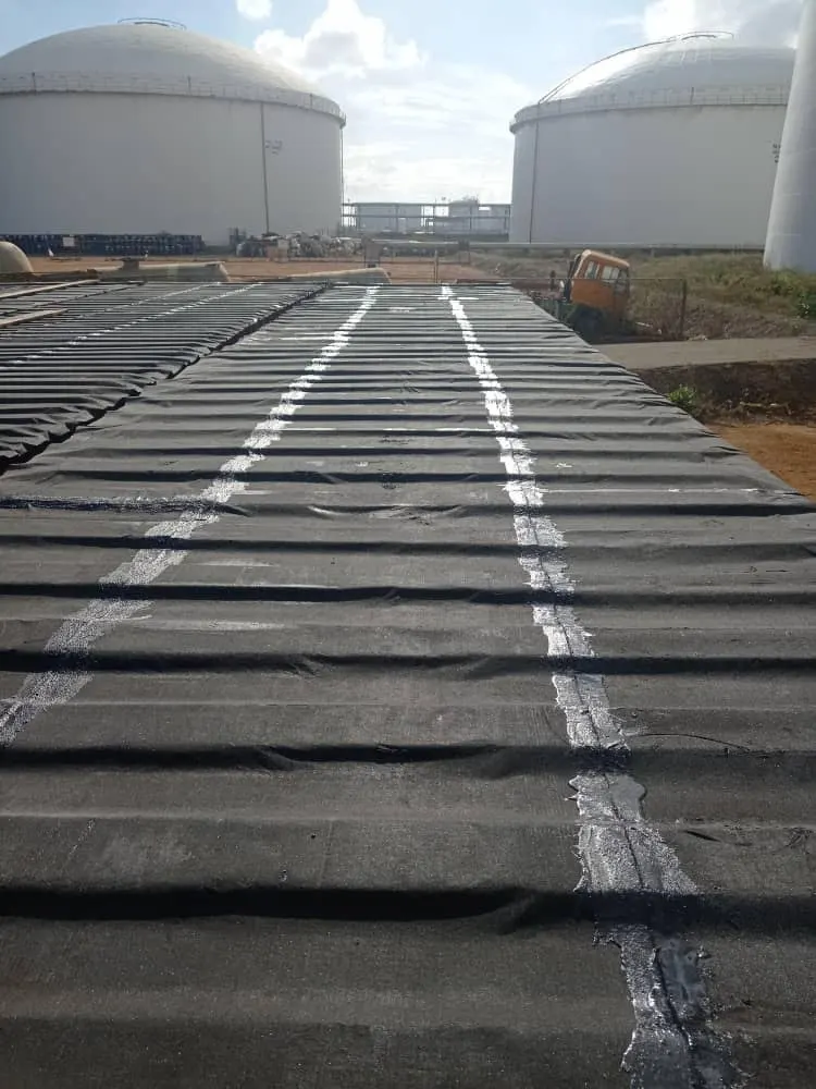 Container waterproofing Methanol from the East Metor (11)