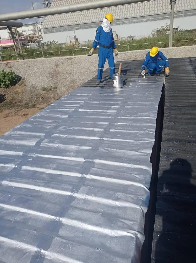 Container waterproofing Methanol from the East Metor (14)