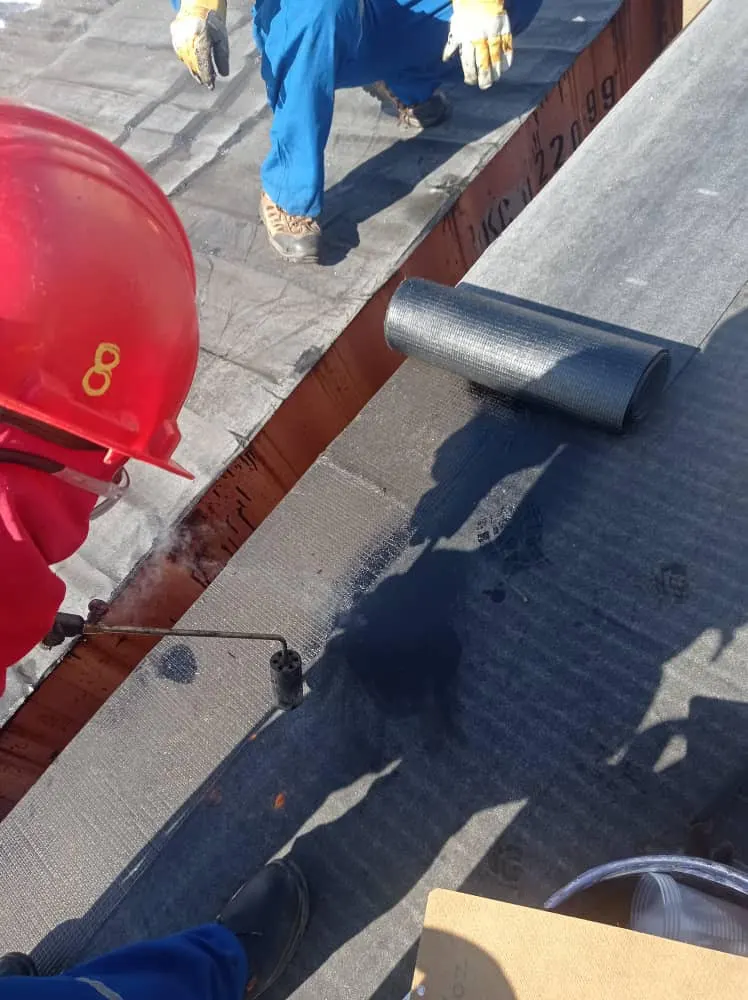 Container waterproofing Methanol from the East Metor (19)